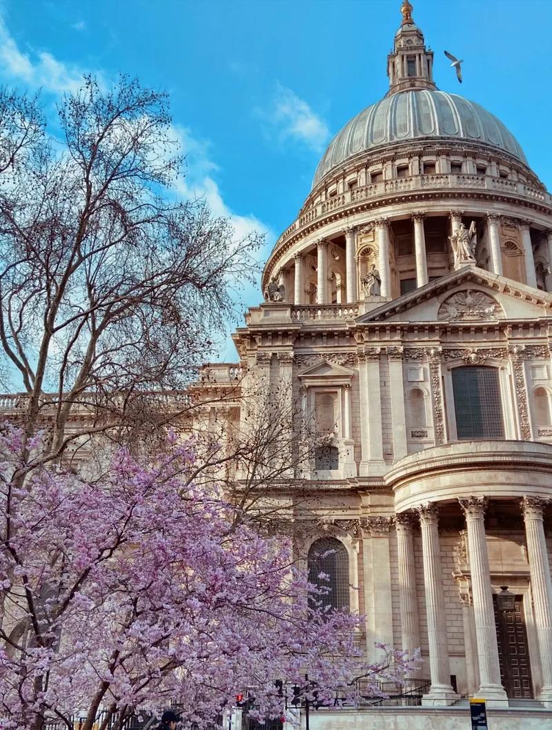 伦斯勒理工学院